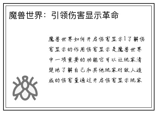 魔兽世界:引领伤害显示革命